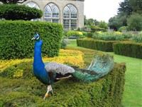 Warwick Castle Day Trip