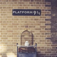 2024 - Back to Hogwarts Day at Kings Cross Station