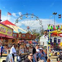 Weston Super Mare Carnival Day Trip