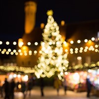 Worcester Victorian Market Day Trip