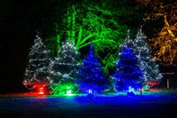2024 - Christmas at Kew Gardens 