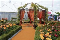 RHS Hampton Court Flower Show